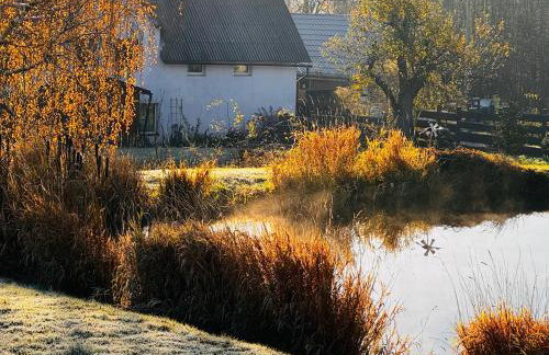 Gołąbek Stronie Śląskie - Foto 16
