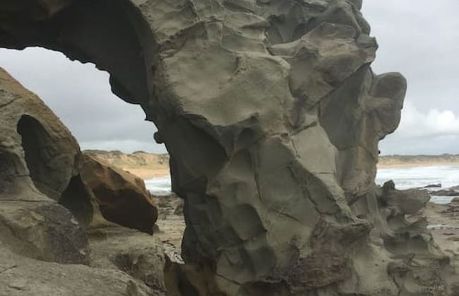 Your Ocean Oasis Ocean Country Views Spa Pet Friendly Fireplace - Foto 71