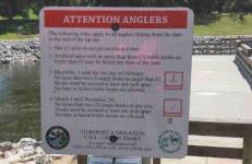 Southern Magnolia House with Porch Swing - Foto 20