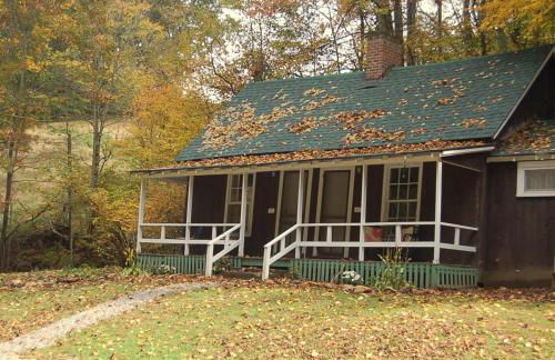 The Cabins at Healing Springs - Foto 126