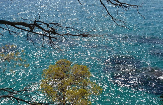 La Masia Costa Brava - Foto 61