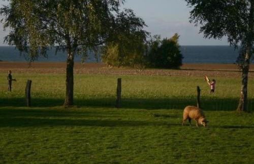 Holiday Home mit Meerblick - direkt an der Ostsee by Interhome - Foto 11