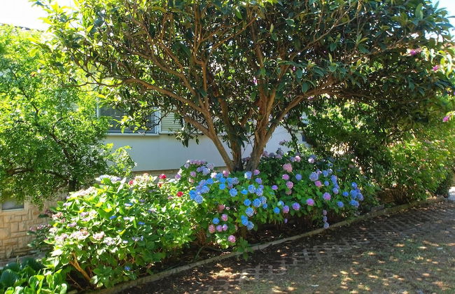 Apartment 1410 - Foto 33