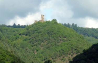 Ferienwohnung Burgenblick - Foto 13