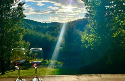 Secluded & Private Retreat- Hot Tub, Fire Pit, Near New River State Park - Foto 24