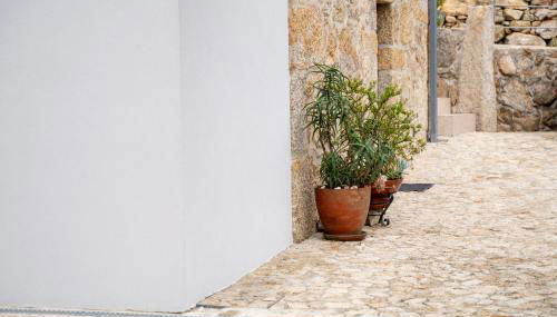 Casa Valverde - Vale de Cambra - Foto 5