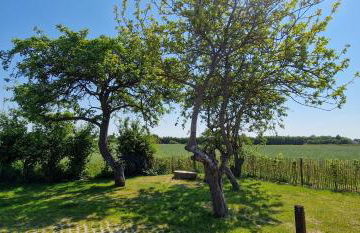Ferienwohnung „Utkiek“ - Hof Mühlenkoppel - Foto 38