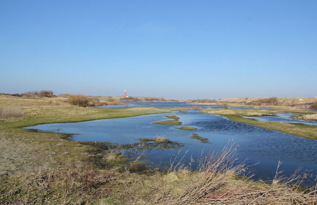 Pet-friendly Texel Escape - Foto 13