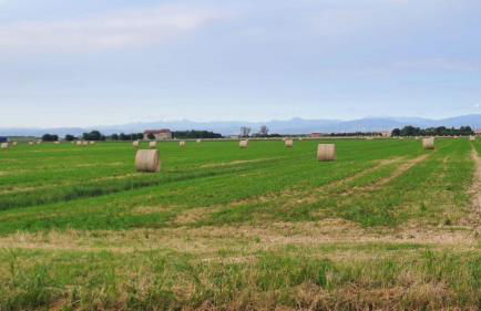 DUCATO HOTEL e RESIDENCE - Photo 40