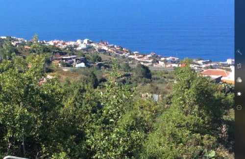 Finca Casa Madera 2 - Foto 34