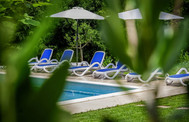 Forest Fairy - Foto 27