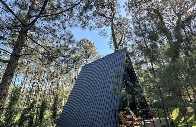 Seaside Chalet Guruli Kokhebi - Photo 29