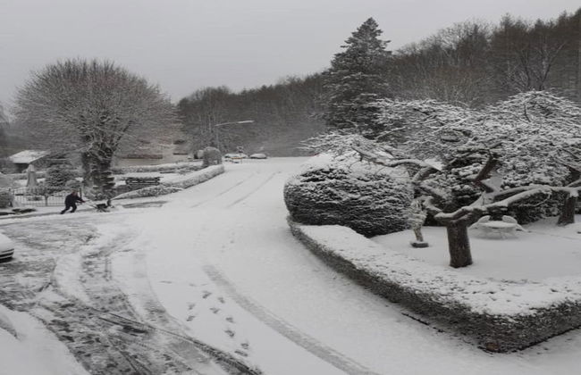 Apartment With Terrace and Pool in the Garden - Foto 29