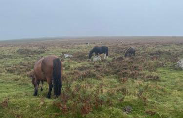 Jemima Barn - Foto 16