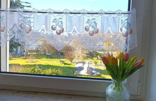 MainMoment 1 - FeWo Karlstadt am Main - Foto 21