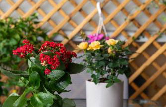 Modern Apartment in Cholargos - Foto 23