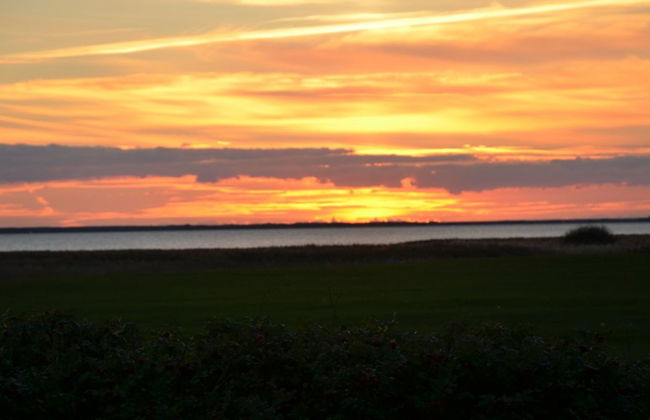 "Aleida" - 100m to the fjord - Foto 3