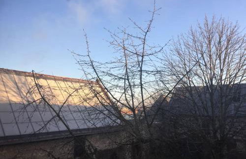 Großzügige Gutshaus-Wohnung nahe Saale und Elbe - Foto 19