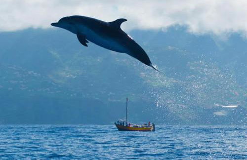 Casa Mia, a Dream Spot With Heated Pool - Photo 35