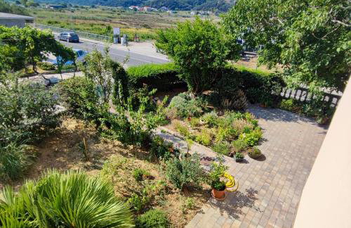 Apartmani Olivera 2 - Foto 20