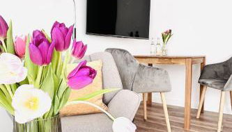 Apartments am Wellenreiter - Küstenstudio - Foto 5