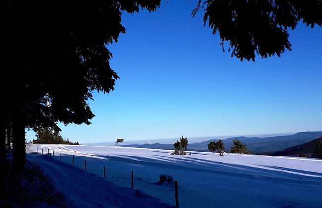 Apartment Monolith Black Forest - Foto 36