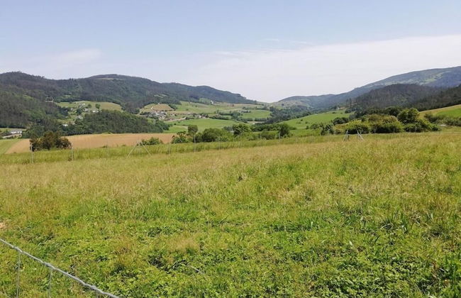 Apartamentos Rurales La Torre - Foto 44