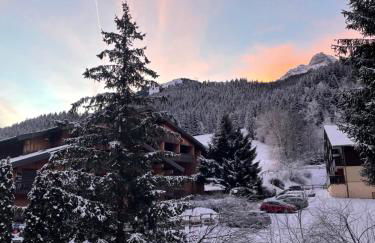 Cosy 2 pièces proche Châtel - Foto 35