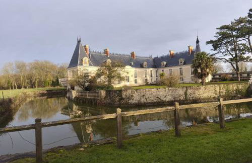 Toute une Histoire - Foto 12