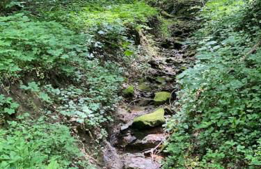 FERIENWOHNUNG ALL YOU NIED mit NIEDBLICK und TERRASSE - Foto 35