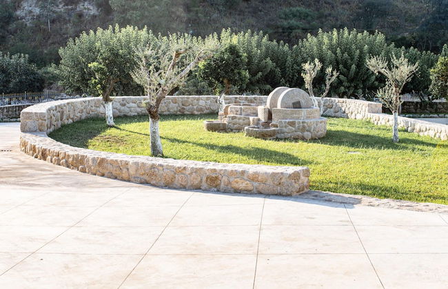 Tenuta del Barone - Foto 15