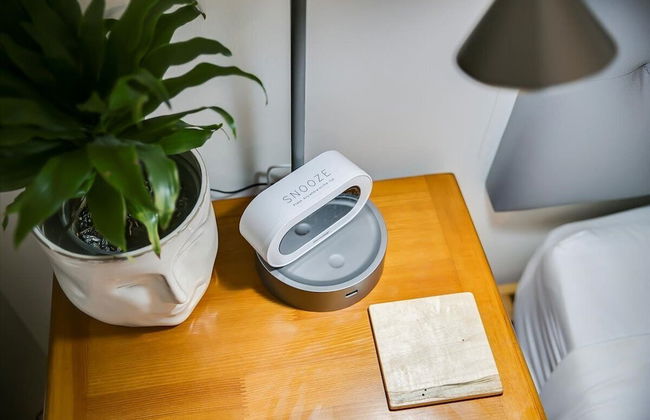 The Green Spot Studio - Foto 17