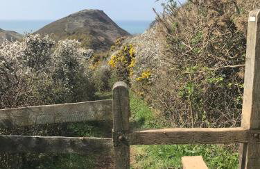Abel's Cottage gorgeous character barn Crackington - Foto 30