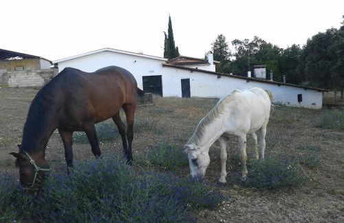 Casa Rural la Vallejera - Foto 90