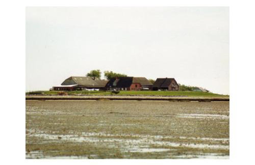 Friesenblau im Haus Schladenhaufen - Foto 4