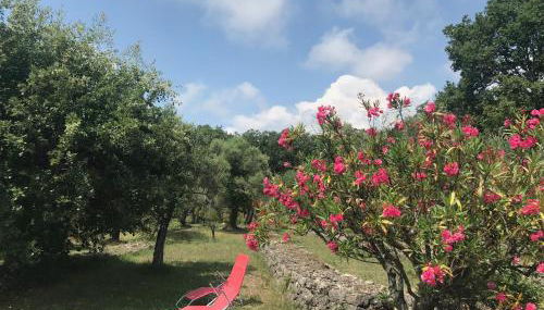 Villa du Sud - Foto 2, Garden view