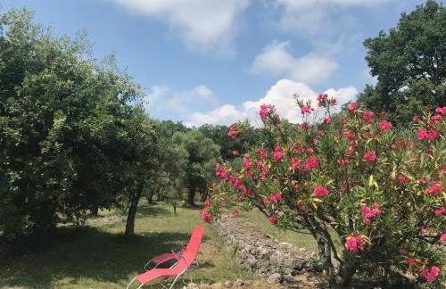 Villa du Sud - Foto 2