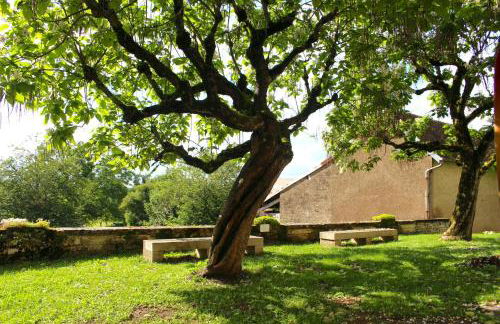 Studio Rossignol - Foto 12