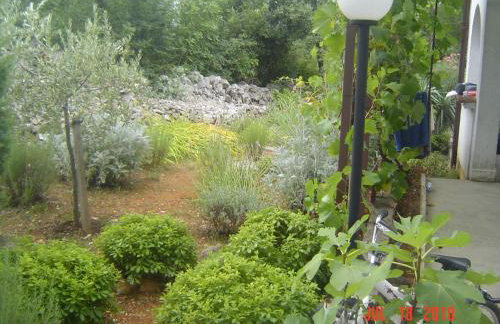 Apartments Barbara - Photo 68