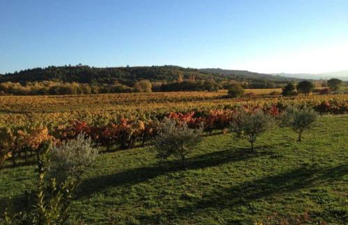 Maison dans les vignes - Foto 11