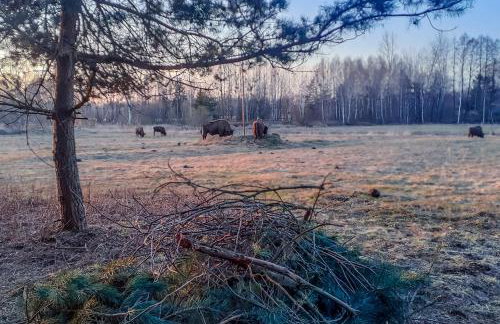 Agroturystyka u Wojtka - Foto 41