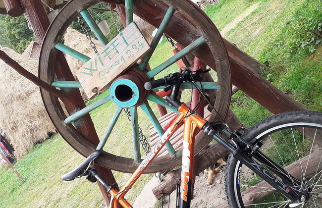 Retreat Holiday in Cozy Traditional House - Photo 45