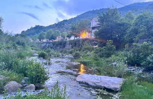 House of artist - Foto 29