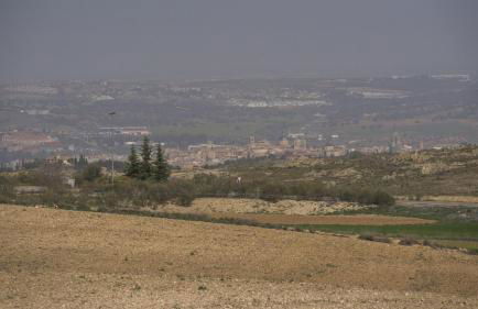 Flor de la Jara - Foto 42