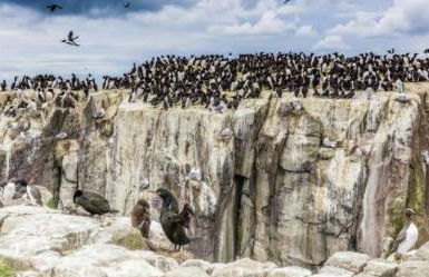 The Orchard House - Foto 78