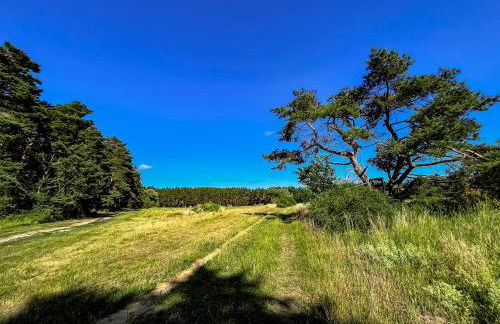 Herman's Hof - Foto 12