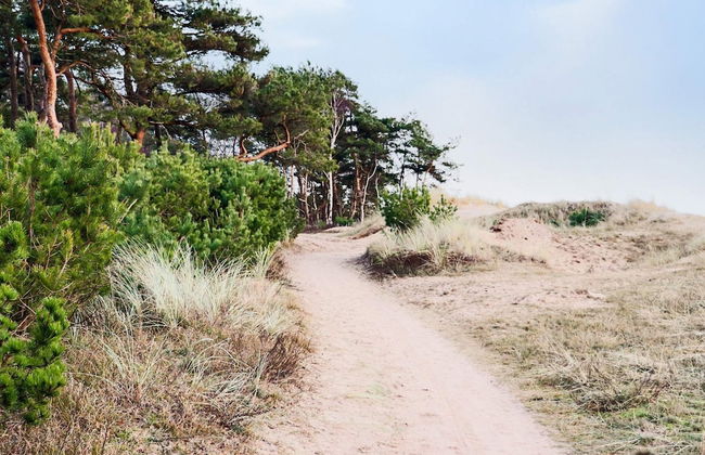 4 Star Holiday Home in Halmstad - Foto 5