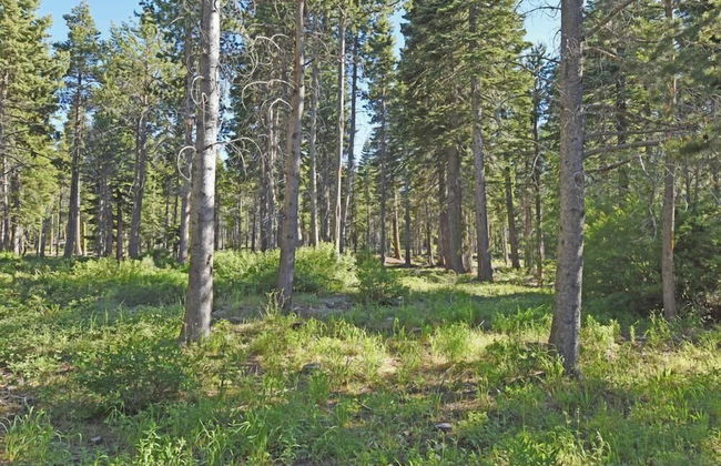 Mckinney Estate w/ Roof Deck Beach & Hike! - Foto 19