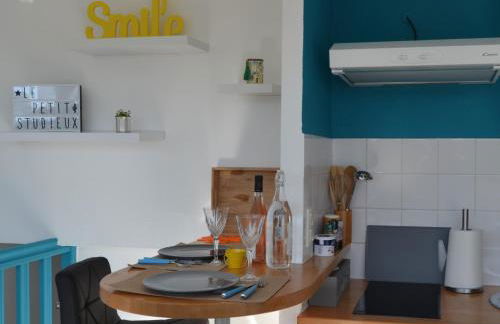 Le petit studieux - Parking - Animaux acceptés - Centre ville accessible à pied - Foto 12