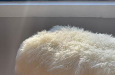 grande maison familiale centre village - Photo 31